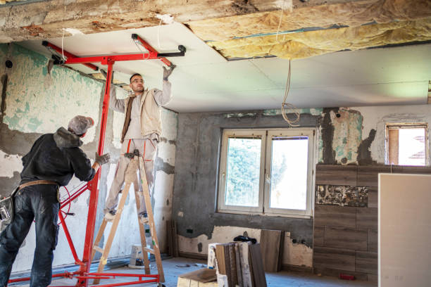 Best Attic Insulation Installation  in Mountain View, AR