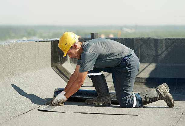 Best Insulation Contractor Near Me  in Mountain View, AR