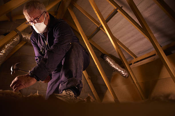 Best Cellulose Insulation  in Mountain View, AR